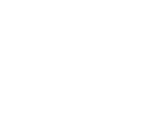 #1 New York Times Bestselling Author DOWNFALL SALVATION Logo